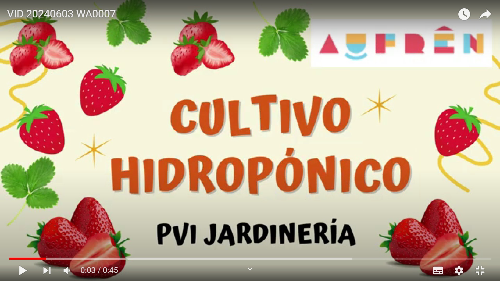 Cultivo hidropónico