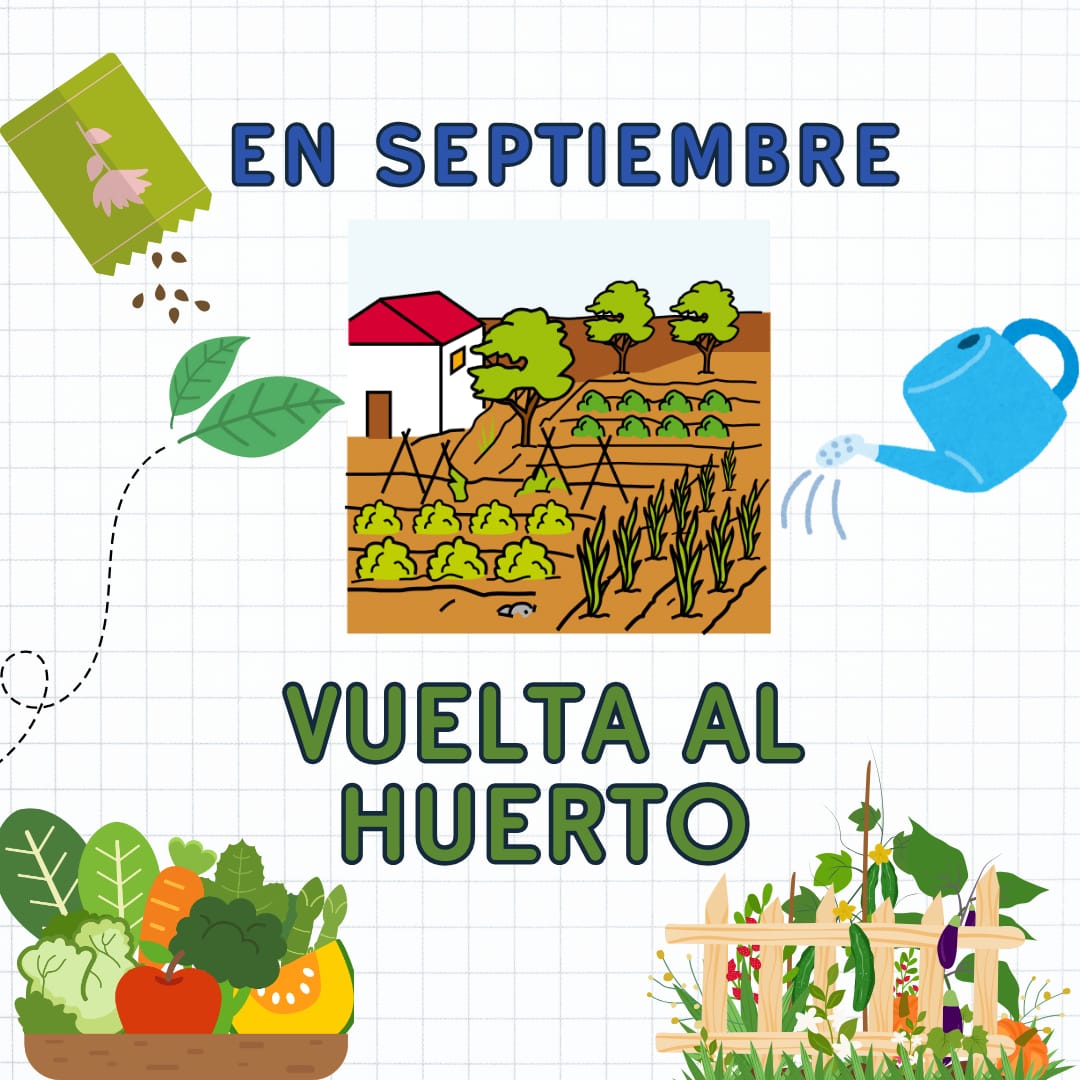 Vuelta al huerto