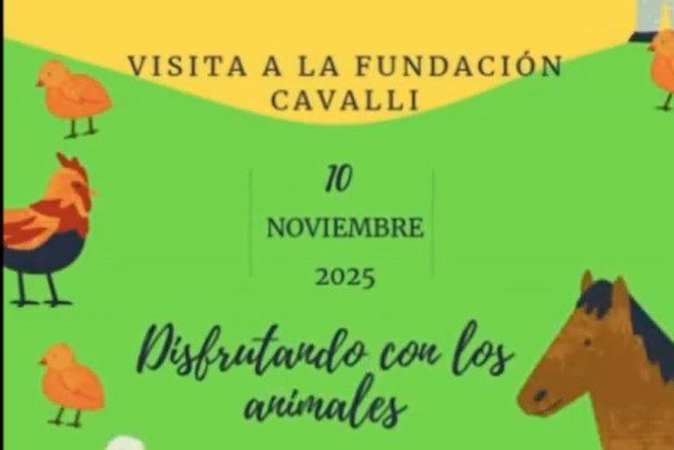 Visita Fundación Cavalli