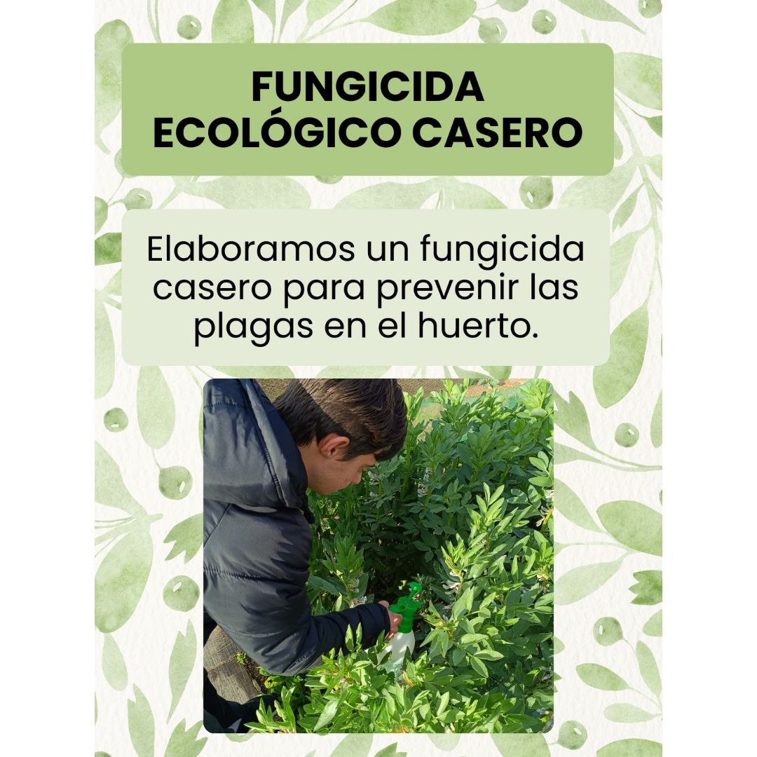 Fungicida Ecológico Casero