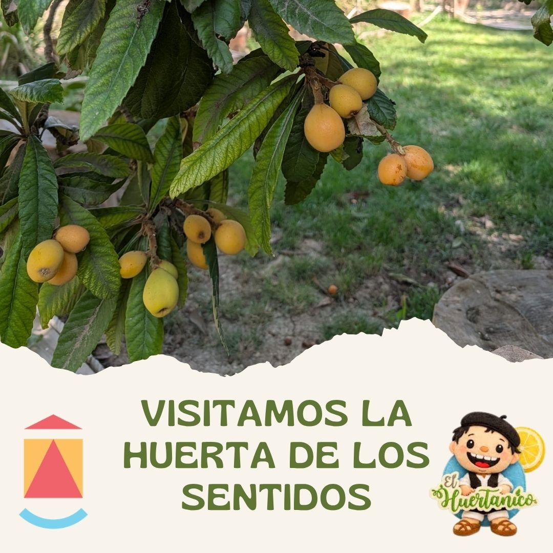 Excursión Huerta de los Sentidos